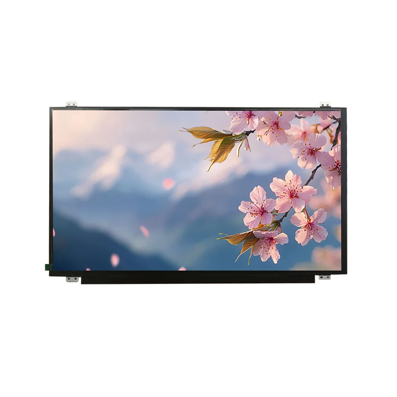 15.6 'HD Wide Temp IPS TFT LCD screen module