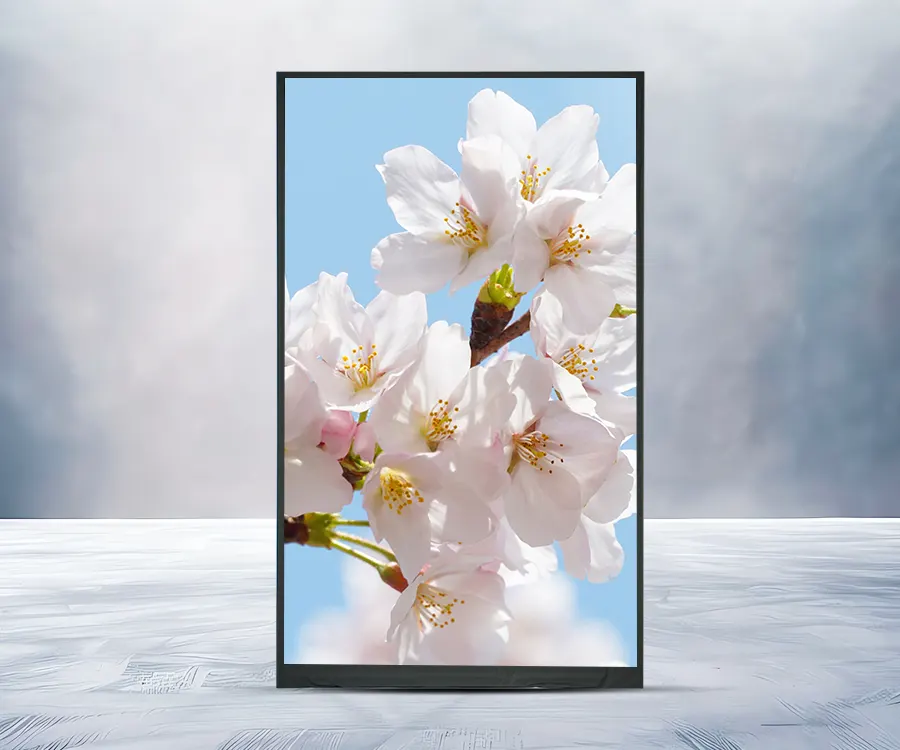 HD TFT LCD display
