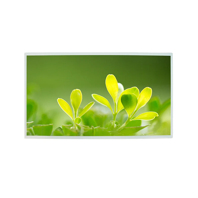 21.5 'Mataas na Liwanag FHD IPS Kulay TFT LCD Display Module