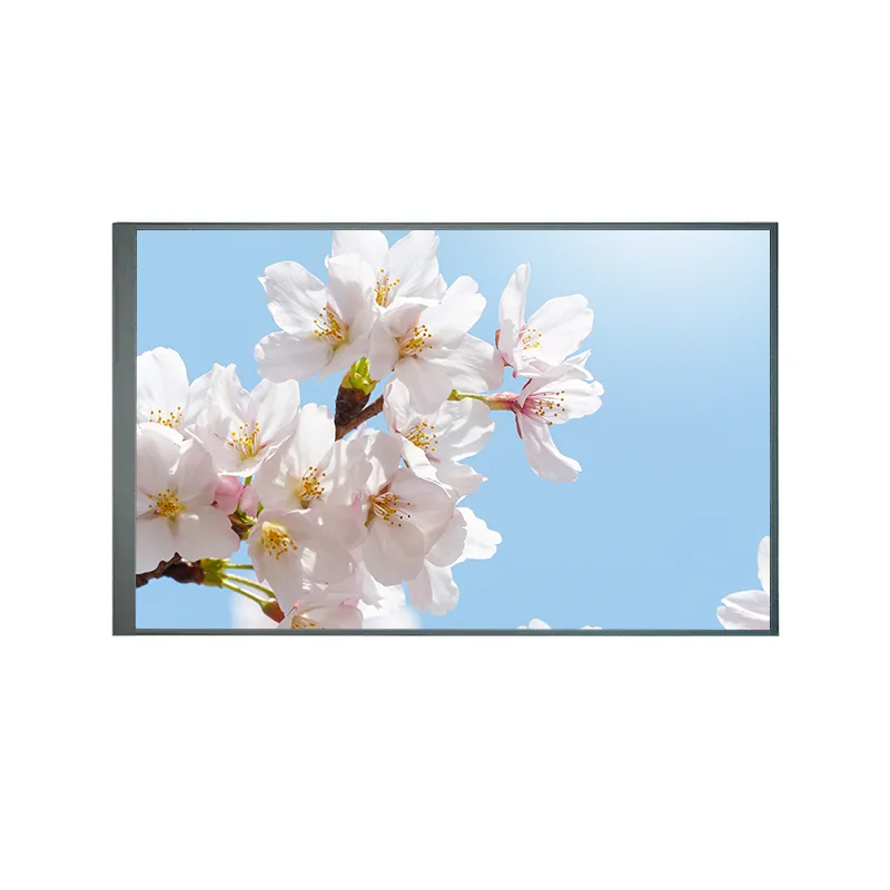 8.0 pulgada na normal na bumalik sa TFT IPS TFT LCD screen module